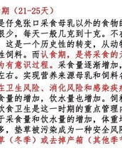 谷子的子怎么组词