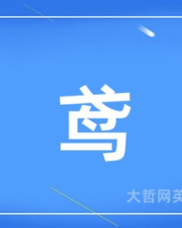 莺的拼音和组词(莺的拼音和组词是怎么写)