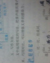 小鸡的图怎么组词啊