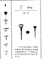 张强的丁怎么组词