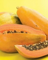 木瓜的木瓜木怎么组词