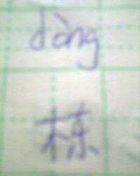 双字双字可以怎么组词