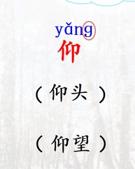 诚实的诚组词(诚实的诚怎么写怎么组词)