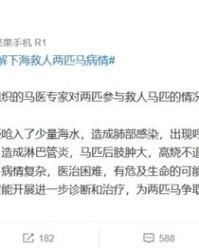 马和蔡怎么组词