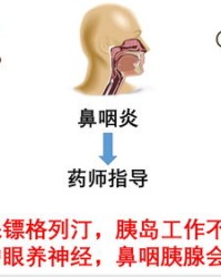 药物门卫的药物怎么组词