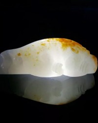 处组词怎么组(处怎么组词啊)