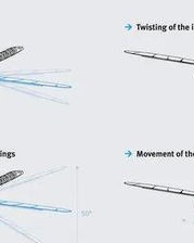 蜻蜓停了停怎么组词