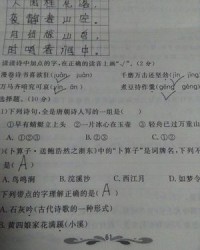 吏组词读音(吏组词和拼音怎么写)