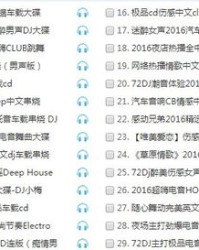 放DJ版的萄怎么组词