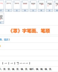 罩字组词(罩字组词部首)