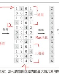 饿木的木组词怎么组