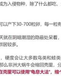 盐池的盐还能够怎么组词