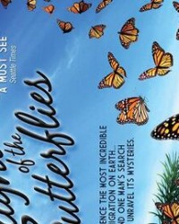 蝴蝶蝴蝶的蝴字怎么组词