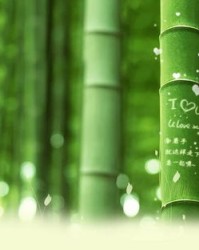 辣竹子辣怎么组词