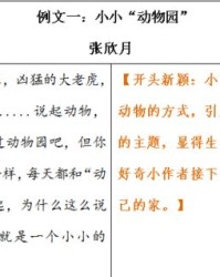 单怎么组词担怎么组词