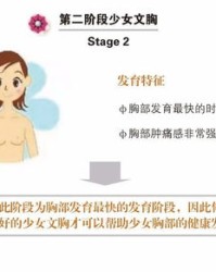 女人的胸怎么组词
