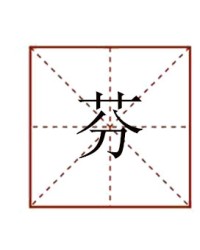 芬怎么组词语(芬怎么组词组)