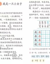 小布昆虫怎么组词