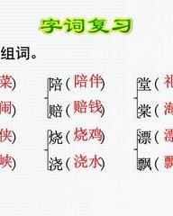 炒字怎么组词(炒怎样组词)