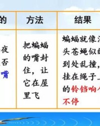 蝙蝠能怎么组词