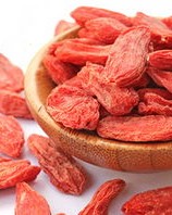 枸杞子怎么组词