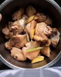 炖怎么组词炖鸡的炖