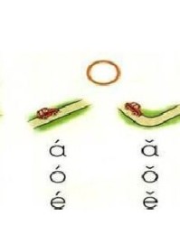 拼音gua一声怎么组词