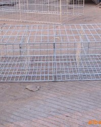 兔笼的笼怎么组词