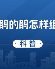 鹃怎么组词(鹃怎么组词两个字的词语)