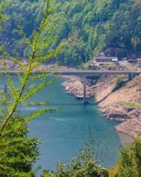 笼字的多音字组词(笼字多音字组词怎么组)