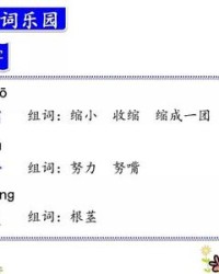 努力的努怎么组词(努力的努怎么组词儿)