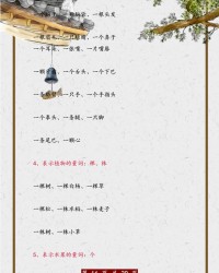 一颗怎么组词(一颗怎么组词造句)