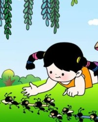 蚂蚁怎么搬家组词