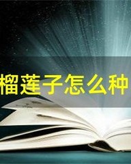 榴莲的榴组词(榴莲的榴组词怎么写)