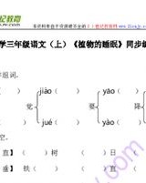 植物植物怎么组词