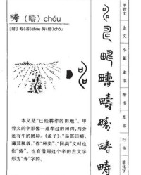 悔的组词和拼音(悔的组词和拼音怎么写的)