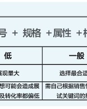 率可以怎么组词(率怎么组词多音字)