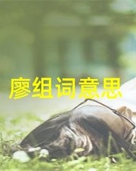 廖怎么组词(廖字怎么组词?)