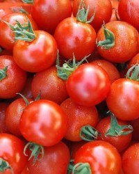 番茄怎么啦组词