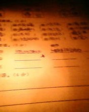 条的组词有哪些