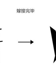 创字组词(创字组词和拼音和部首)