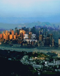 筷的组词(筷的组词怎么组)