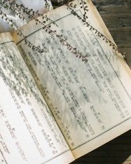 金币的币组词(金币的币组词怎么写)