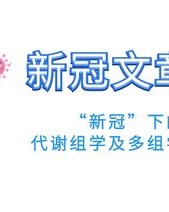 新年的心可以怎么组词呢