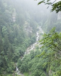 庐山的庐怎么组词