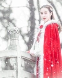 摄怎么组词(摄怎么组词儿)