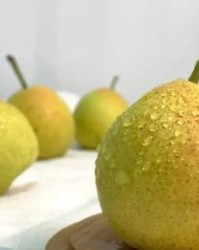 梨怎么组词(柔怎么组词)