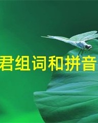 君的组词有什么(君的组词怎么组)