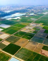 唐组词组(唐组词组和拼音怎么写的)