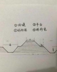 小度洞可以怎么组词